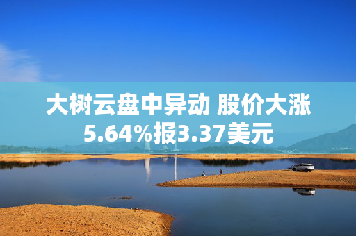 大树云盘中异动 股价大涨5.64%报3.37美元