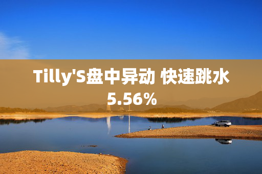 Tilly'S盘中异动 快速跳水5.56%