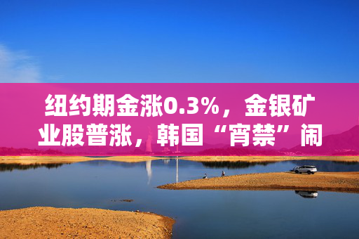 纽约期金涨0.3%，金银矿业股普涨，韩国“宵禁”闹剧带来短暂的避险需求