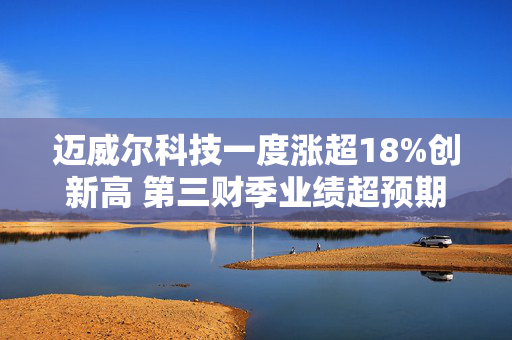 迈威尔科技一度涨超18%创新高 第三财季业绩超预期