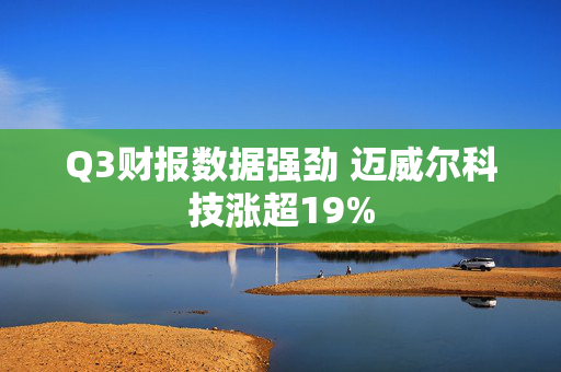 Q3财报数据强劲 迈威尔科技涨超19%