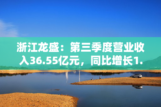 浙江龙盛：第三季度营业收入36.55亿元，同比增长1.23%