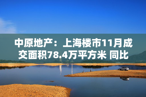 中原地产：上海楼市11月成交面积78.4万平方米 同比增长48.8%