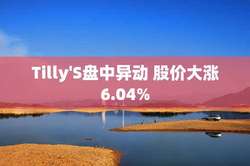 Tilly'S盘中异动 股价大涨6.04%