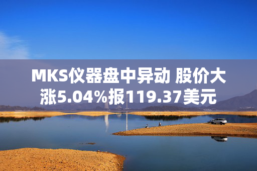 MKS仪器盘中异动 股价大涨5.04%报119.37美元