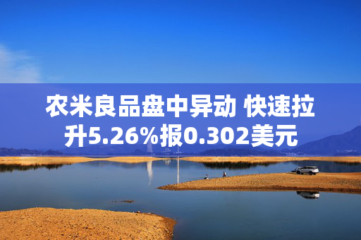 农米良品盘中异动 快速拉升5.26%报0.302美元