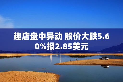 趣店盘中异动 股价大跌5.60%报2.85美元