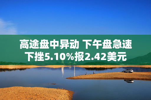 高途盘中异动 下午盘急速下挫5.10%报2.42美元