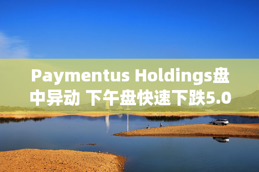 Paymentus Holdings盘中异动 下午盘快速下跌5.03%