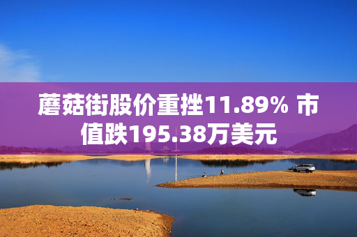 蘑菇街股价重挫11.89% 市值跌195.38万美元