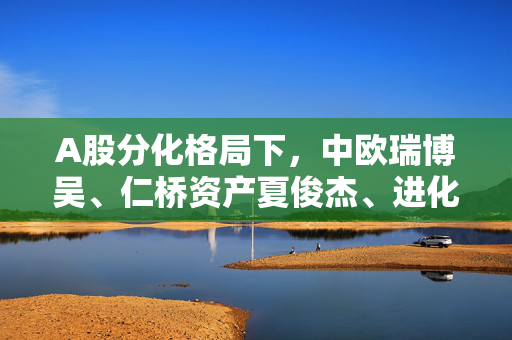 A股分化格局下，中欧瑞博吴、仁桥资产夏俊杰、进化论资产王一平三大百亿私募发声！坚持牛市思维和牛市仓位