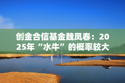 创金合信基金魏凤春：2025年“水牛”的概率较大