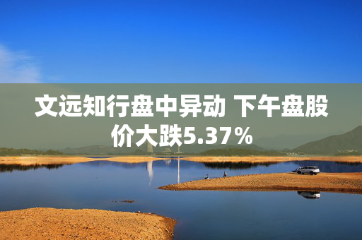 文远知行盘中异动 下午盘股价大跌5.37%