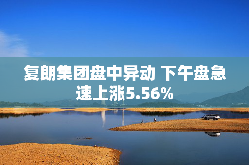 复朗集团盘中异动 下午盘急速上涨5.56%