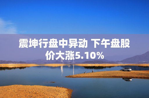 震坤行盘中异动 下午盘股价大涨5.10%