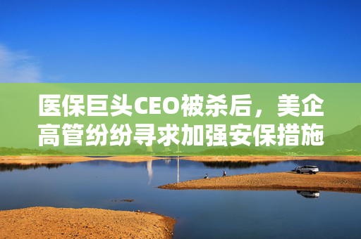 医保巨头CEO被杀后，美企高管纷纷寻求加强安保措施