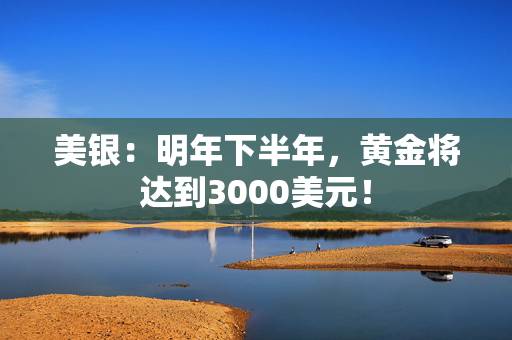 美银：明年下半年，黄金将达到3000美元！