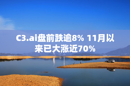 C3.ai盘前跌逾8% 11月以来已大涨近70%