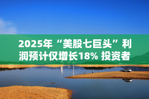 2025年“美股七巨头”利润预计仅增长18% 投资者开始寻找新目标