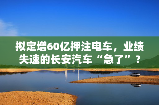 拟定增60亿押注电车，业绩失速的长安汽车“急了”？