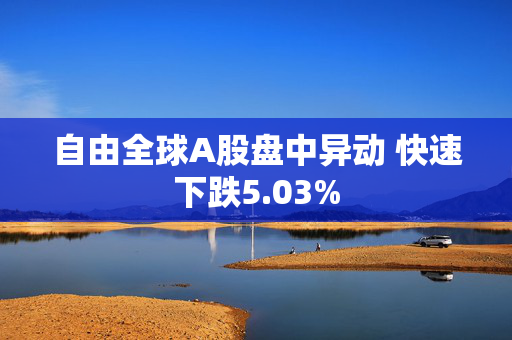 自由全球A股盘中异动 快速下跌5.03%