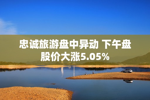 忠诚旅游盘中异动 下午盘股价大涨5.05%