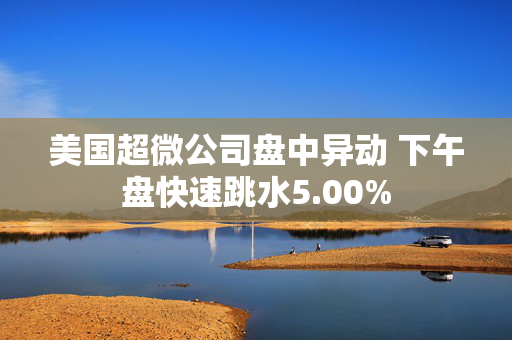 美国超微公司盘中异动 下午盘快速跳水5.00%