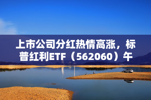 上市公司分红热情高涨，标普红利ETF（562060）午盘涨0.53%，成份股全线飘红！