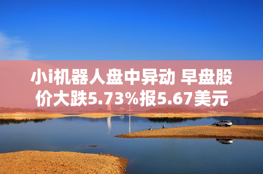 小i机器人盘中异动 早盘股价大跌5.73%报5.67美元