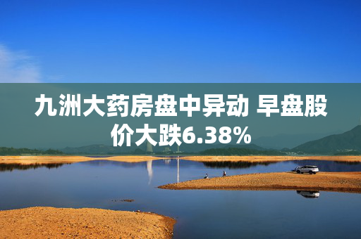 九洲大药房盘中异动 早盘股价大跌6.38%