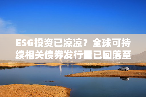 ESG投资已凉凉？全球可持续相关债券发行量已回落至四年新低