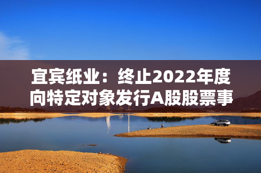 宜宾纸业：终止2022年度向特定对象发行A股股票事项