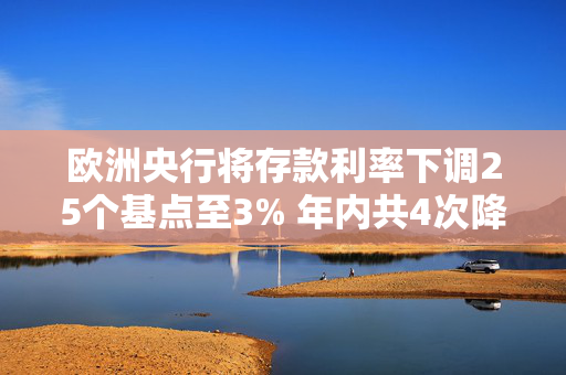 欧洲央行将存款利率下调25个基点至3% 年内共4次降息100个基点