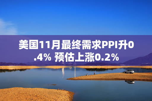 美国11月最终需求PPI升0.4% 预估上涨0.2%