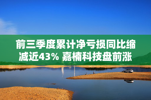 前三季度累计净亏损同比缩减近43% 嘉楠科技盘前涨逾7%