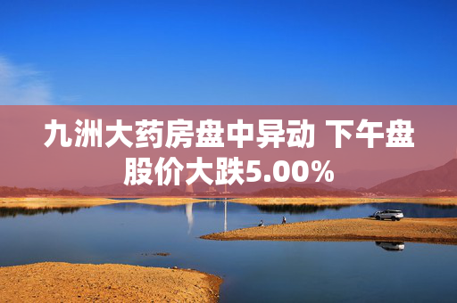 九洲大药房盘中异动 下午盘股价大跌5.00%