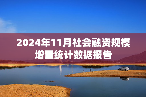 2024年11月社会融资规模增量统计数据报告