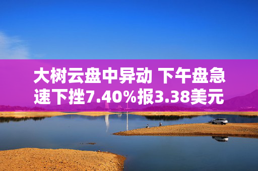 大树云盘中异动 下午盘急速下挫7.40%报3.38美元