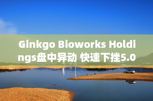 Ginkgo Bioworks Holdings盘中异动 快速下挫5.03%