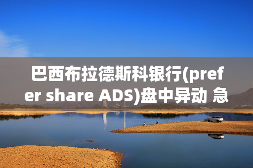 巴西布拉德斯科银行(prefer share ADS)盘中异动 急速下跌5.09%报2.05美元