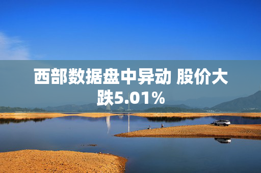 西部数据盘中异动 股价大跌5.01%