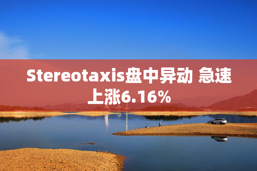 Stereotaxis盘中异动 急速上涨6.16%