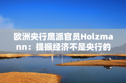 欧洲央行鹰派官员Holzmann：提振经济不是央行的职责