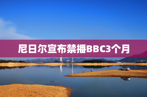 尼日尔宣布禁播BBC3个月