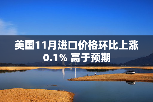 美国11月进口价格环比上涨0.1% 高于预期