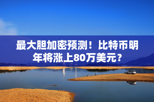 最大胆加密预测！比特币明年将涨上80万美元？