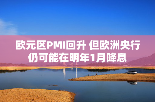 欧元区PMI回升 但欧洲央行仍可能在明年1月降息