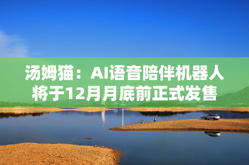 汤姆猫：AI语音陪伴机器人将于12月月底前正式发售