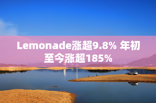 Lemonade涨超9.8% 年初至今涨超185%