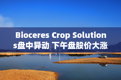 Bioceres Crop Solutions盘中异动 下午盘股价大涨5.11%